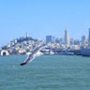 Meet your Posher, Li-ling